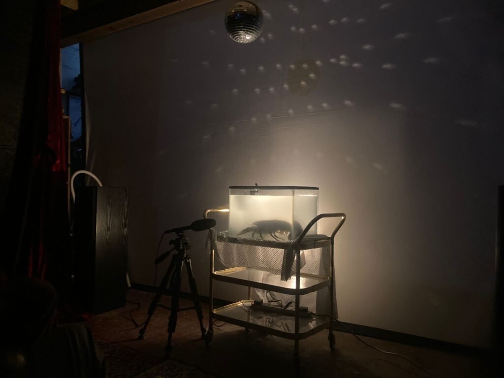 photo 2025 07 12 12 12 19